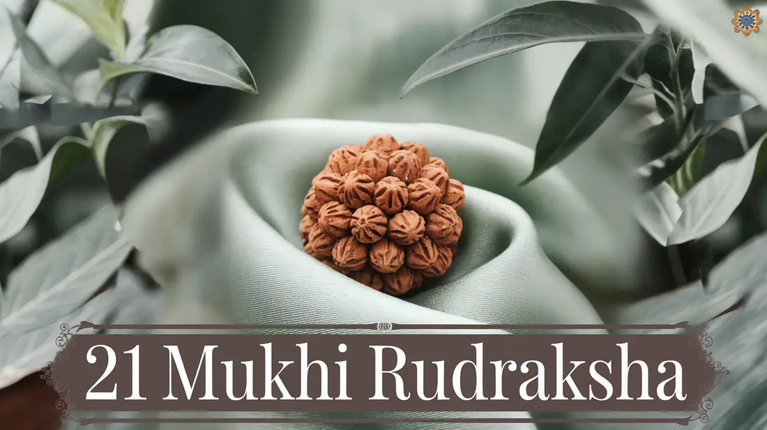 Significance of 21 Mukhi Rudraksha | Kubersukh | How to Wear It