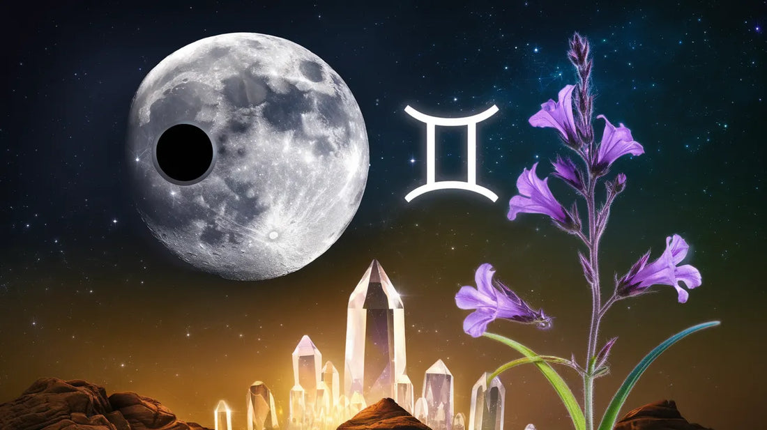 The Impact of Rahu in Gemini | Kubersukh | Characteristics and Astrological Insights