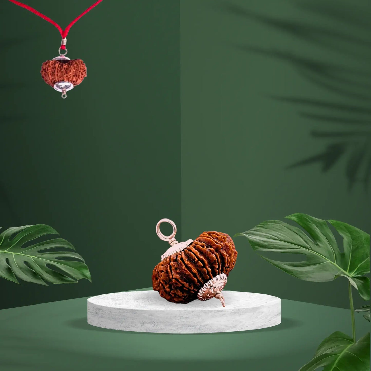 20 Mukhi Rudraksha | Kubersukh | 20 Face Rudraksha With Silver Pendant