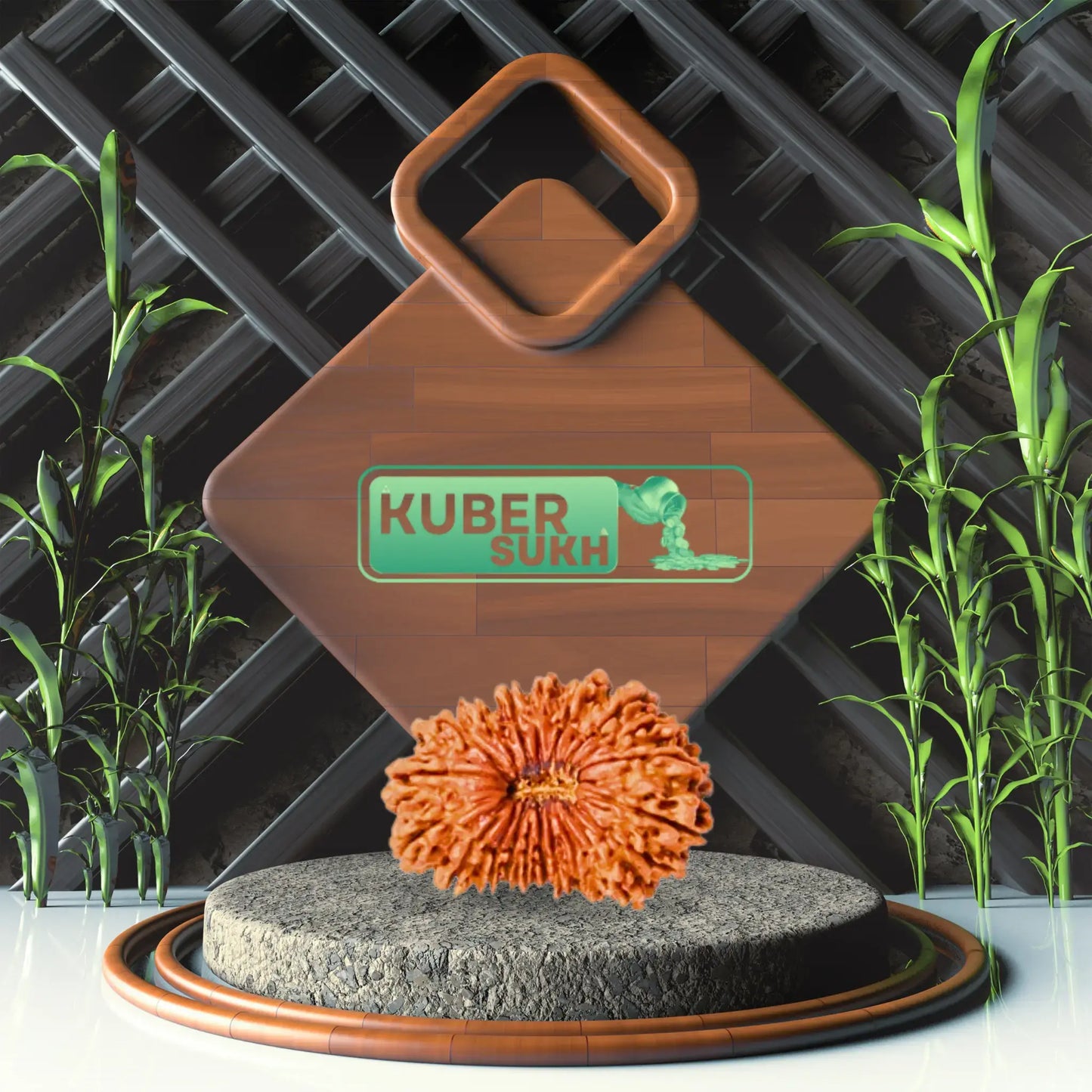 20 Mukhi Rudraksha | Kubersukh | 20 Face Original Rudraksha Image