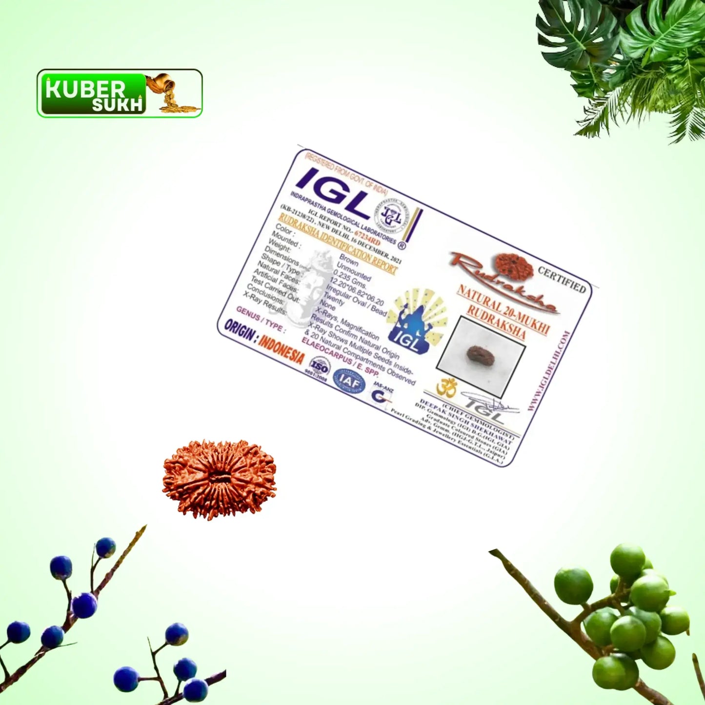 20 Mukhi Rudraksha | Kubersukh | 20 Face Rudraksha Certificate Image