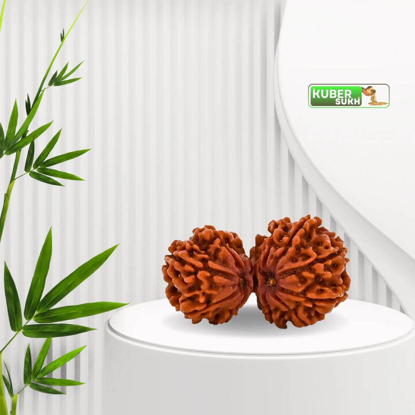 Gauri Shankar Rudraksha | Kubersukh | Gauri Shankar Rudraksha Best Image