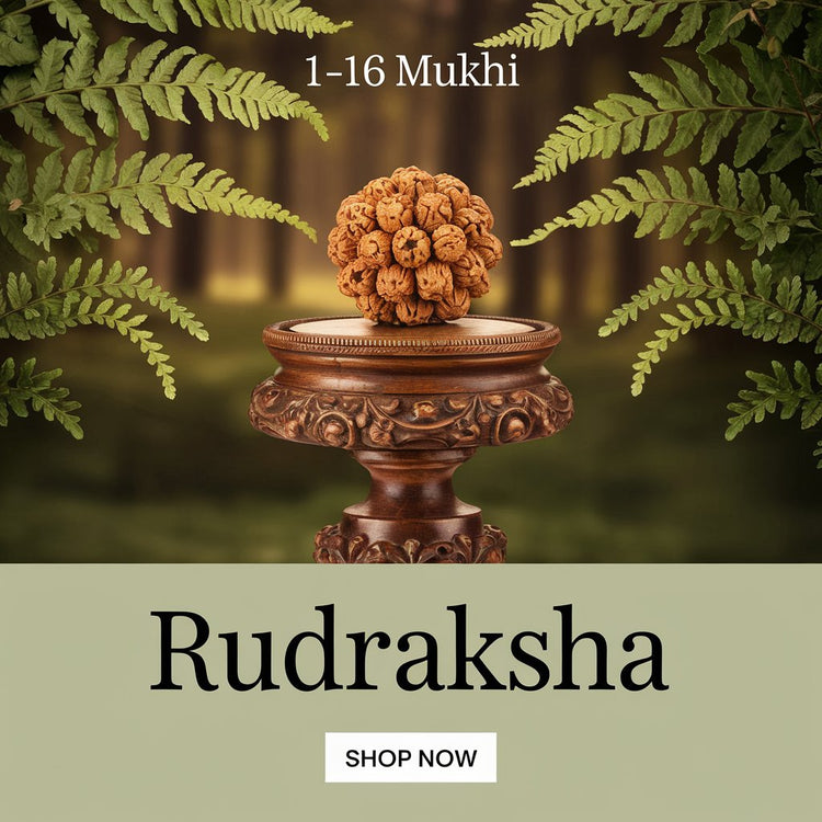 Activated Mahakal-Premium Rudraksha