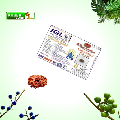 20 Mukhi Rudraksha | Kubersukh | 20 Face Rudraksha Certificate Image