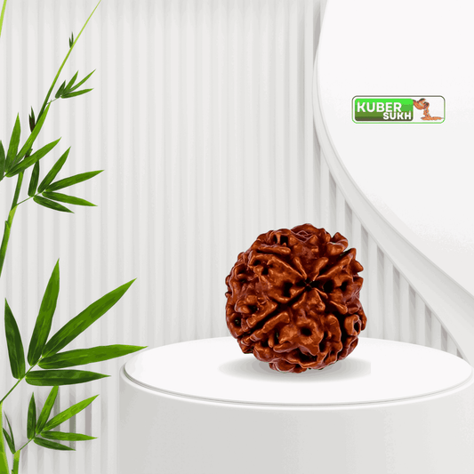 4 Mukhi Rudraksha | Kubersukh |  Original Rudraksha | Rudraksha Image