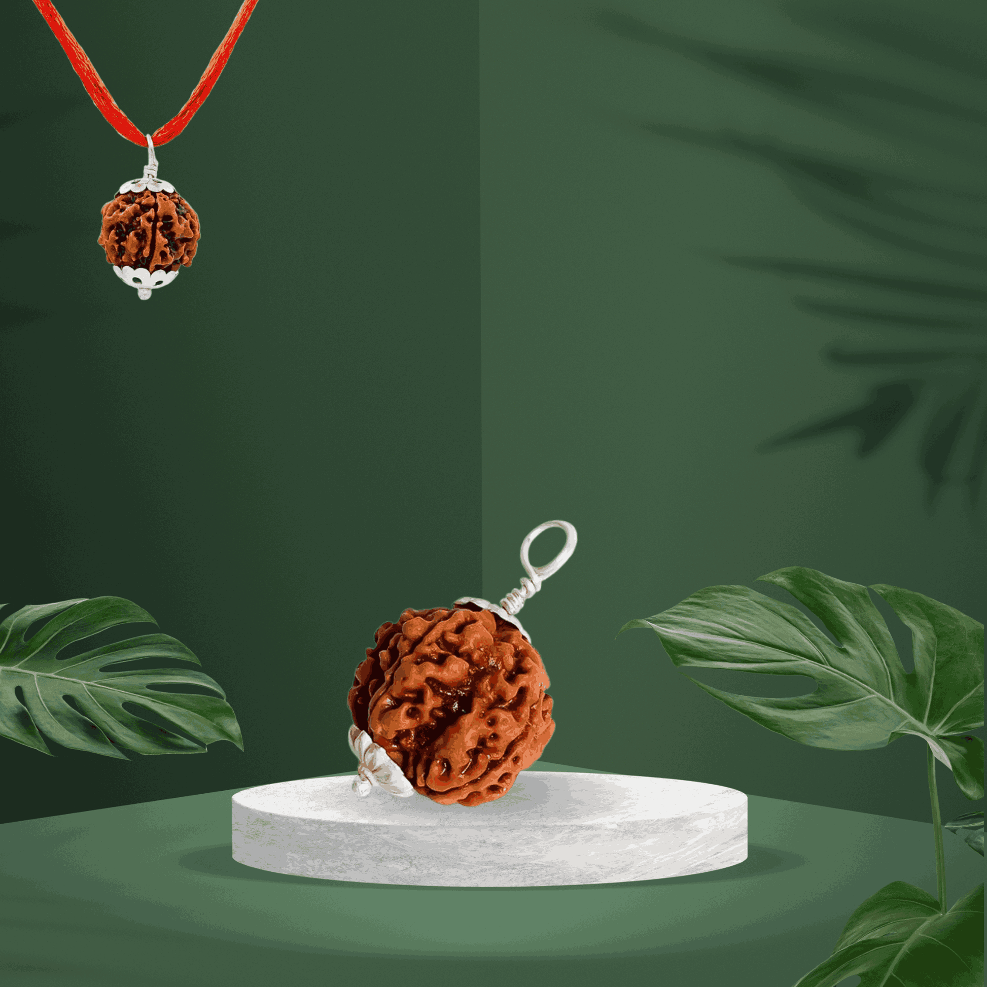 5 Mukhi Rudraksha | Kubersukh | 5 Face Rudraksha