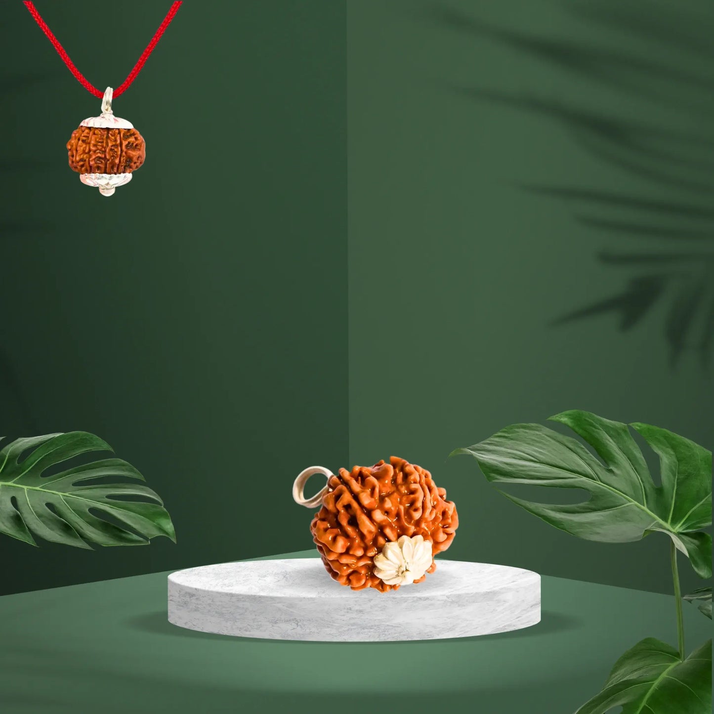 8 Mukhi Rudraksha | Kubersukh | 8 Face Premium Rudraksha