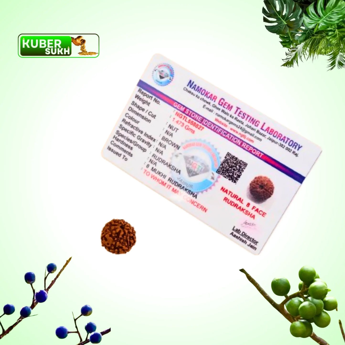 8 Mukhi Rudraksha | Kubersukh | 8 Face Rudraksha Certified